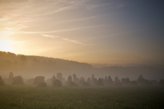 N_DSC0029_Homepage2020