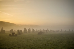 N_DSC0030_Homepage2020