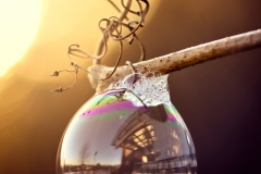 N_DSC0602_Homepage2020