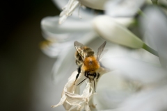 N_DSC6788_Homepage2020