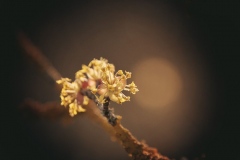 N_DSC_0272_Homepage2020