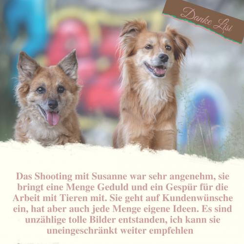 Bewertung Lisi Neller